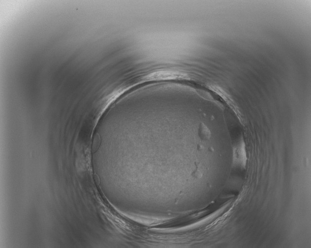 X0000059251465200510211616