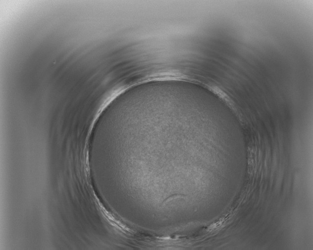 X0000059251466200510211616