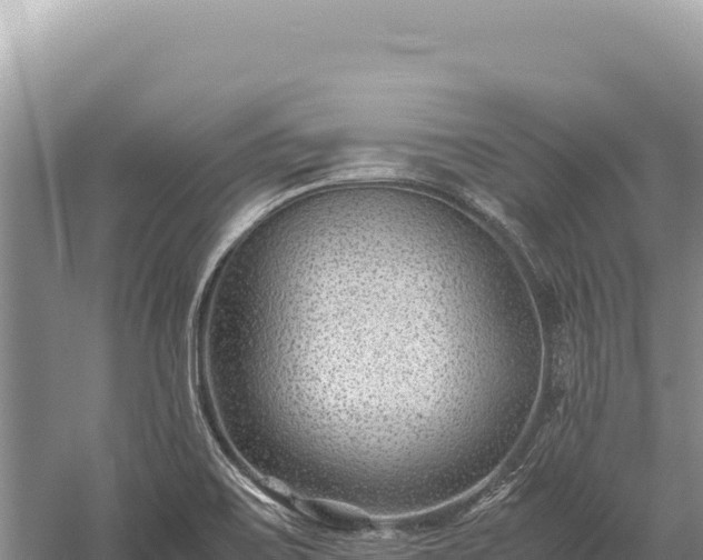 X0000059251467200510211616