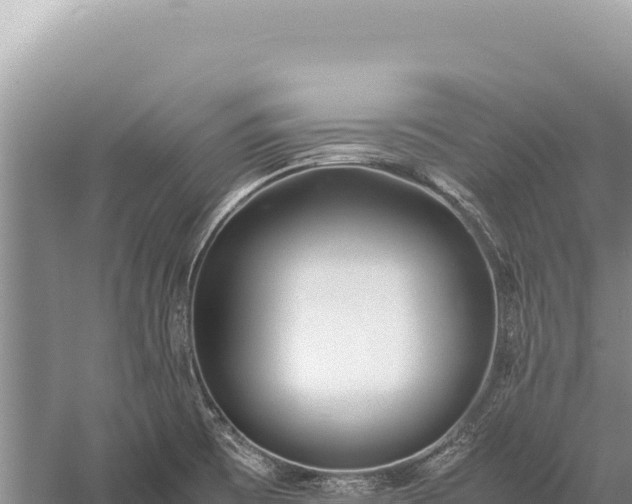 X0000059251473200510211616