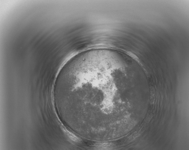 X0000059251474200510211616