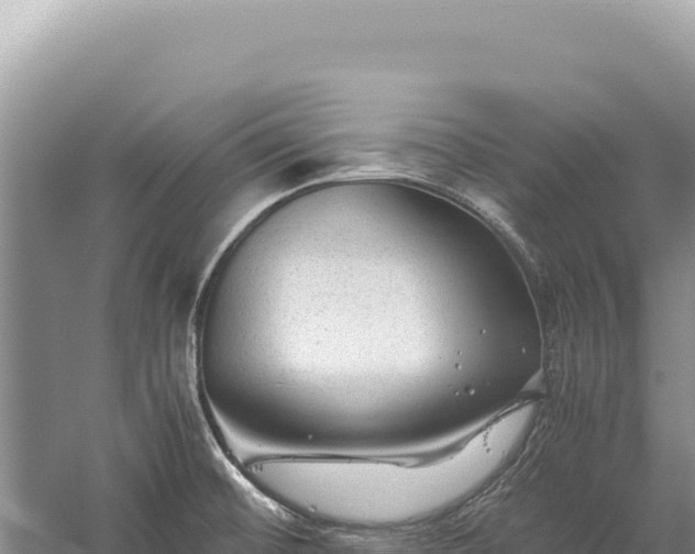 X0000059251476200510211616