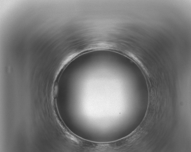 X0000059251477200510211616