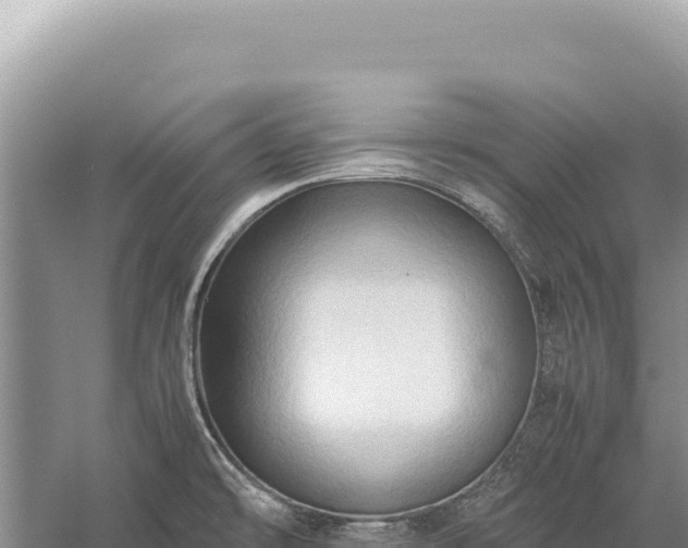 X0000059251478200510211616