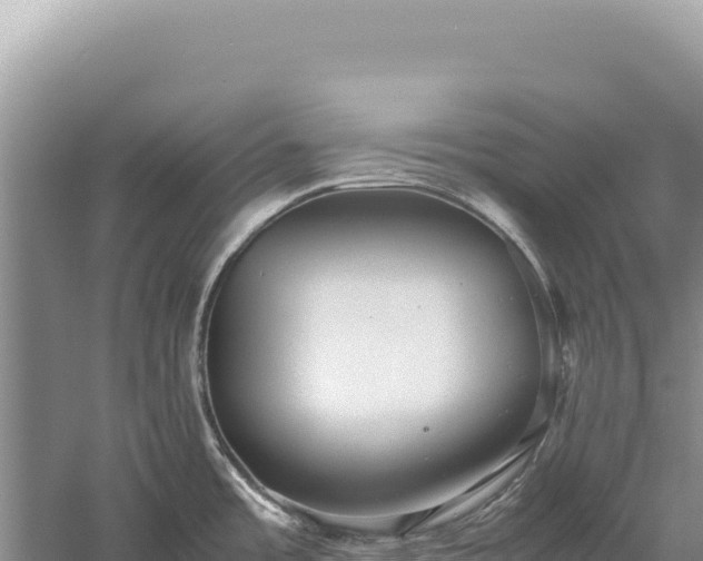 X0000059251485200510211616