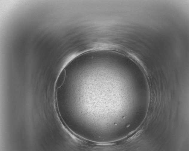 X0000059251487200510211616