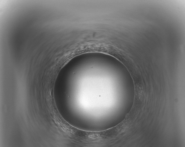 X0000059251489200510211615