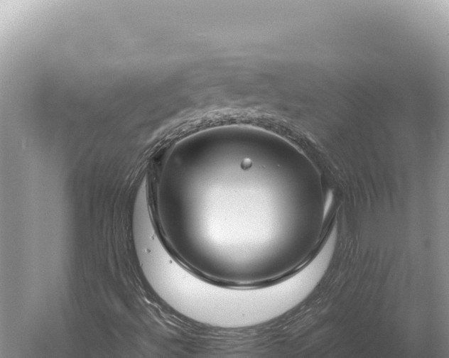 X0000059251492200510211615