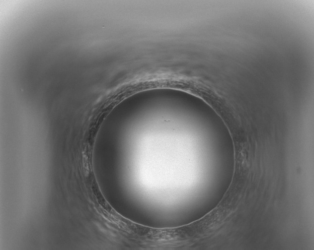 X0000059251493200510211615