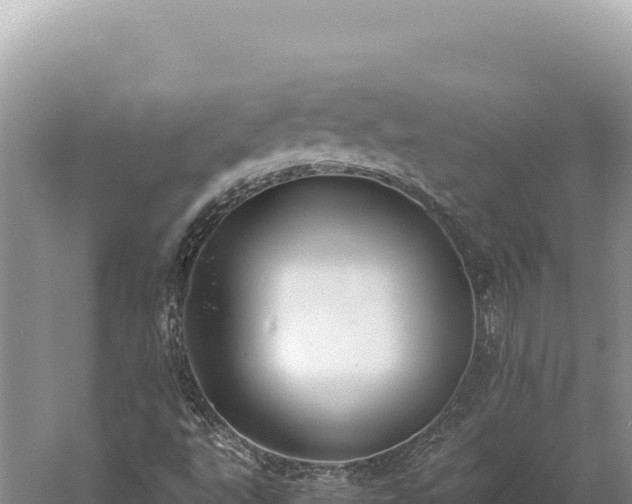 X0000059251495200510211615