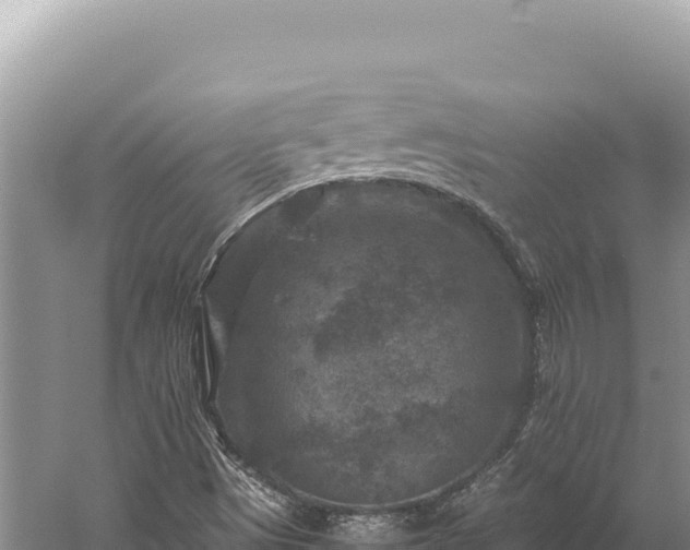 X0000059251497200510211615