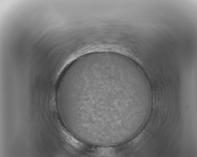 X0000059251498200510211615