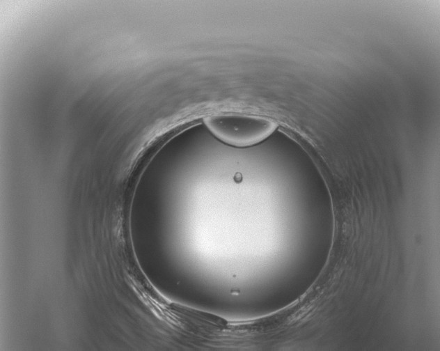 X0000059251499200510211615