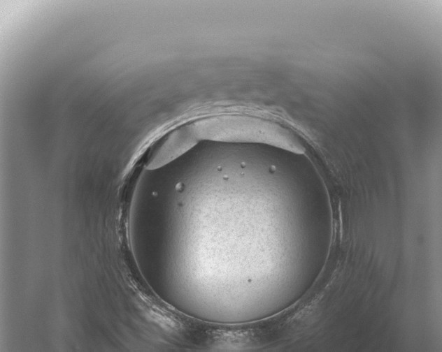 X0000059251501200510211615