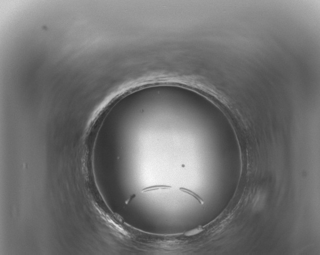 X0000059251502200510211615