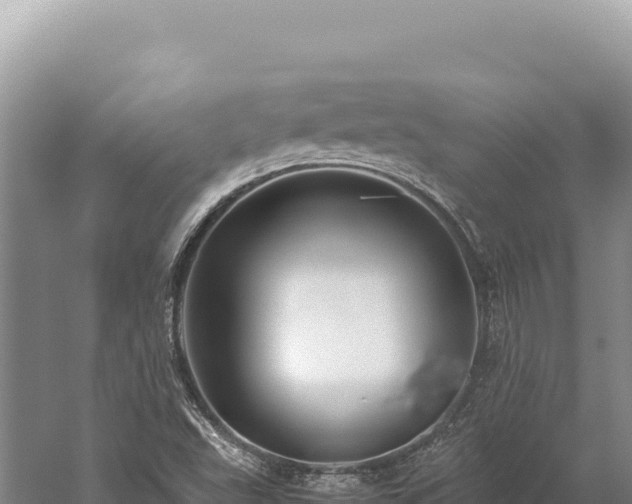 X0000059251503200510211615