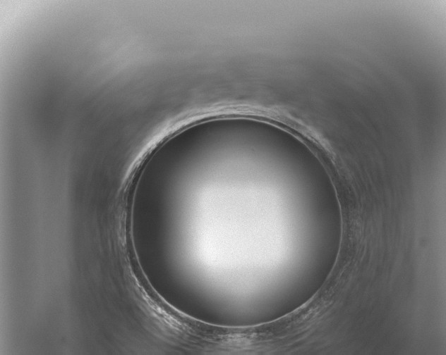 X0000059251504200510211615