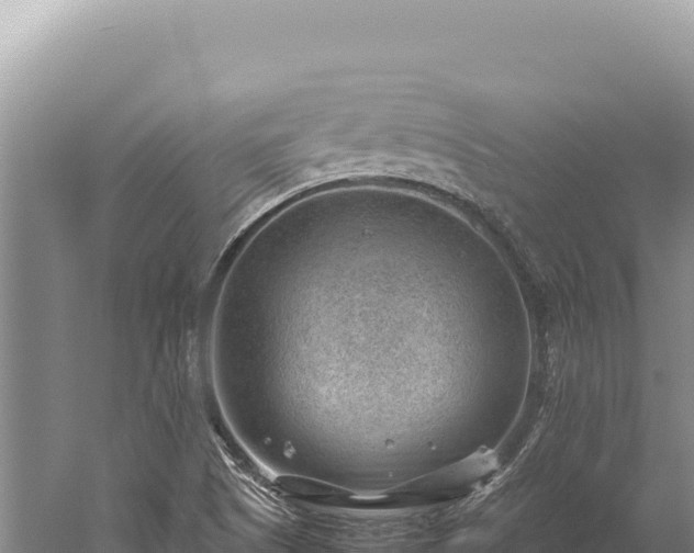 X0000059251505200510211615