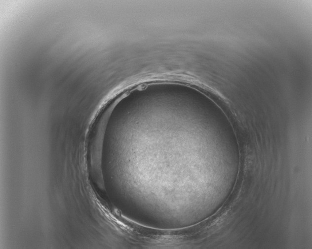 X0000059251506200510211615