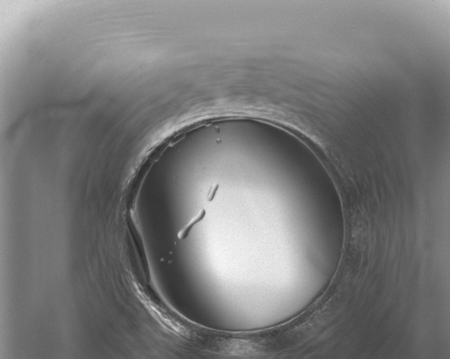 X0000059251507200510211615