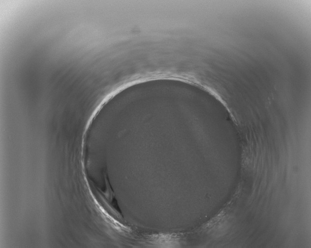 X0000059251508200510211615