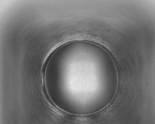 X0000059251509200510211615