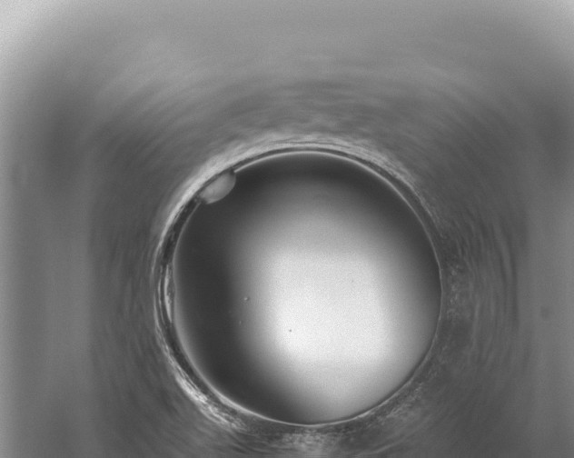 X0000059251511200510211615