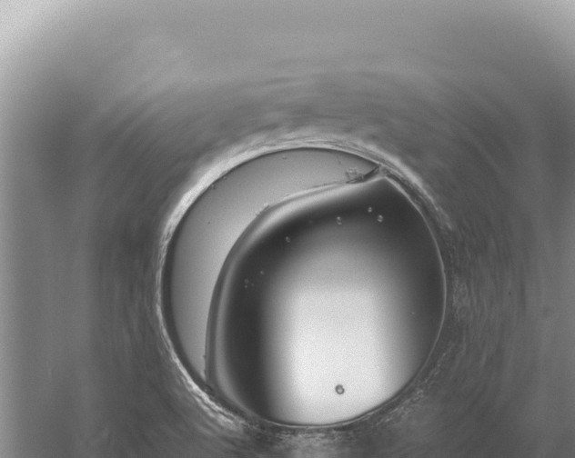 X0000059251512200510211615