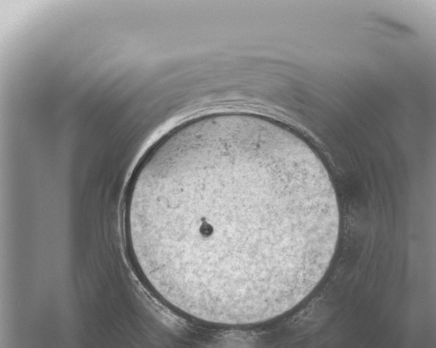 X0000059251514200510211615