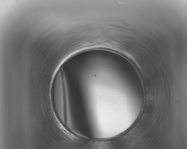 X0000059251516200510211615