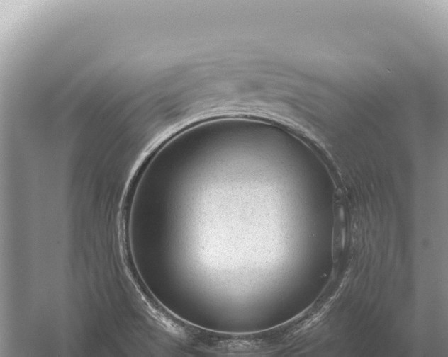 X0000059251517200510211615