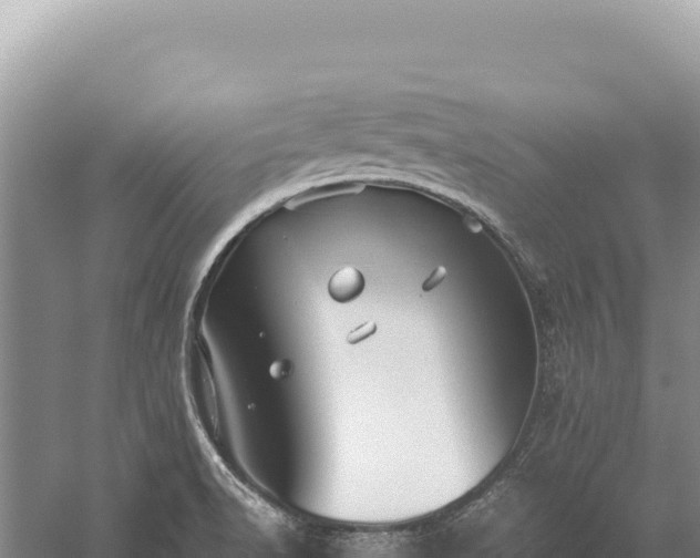 X0000059251518200510211615