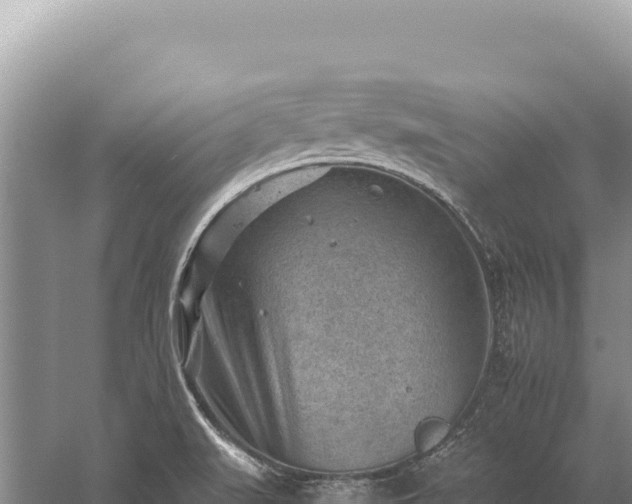 X0000059251519200510211615