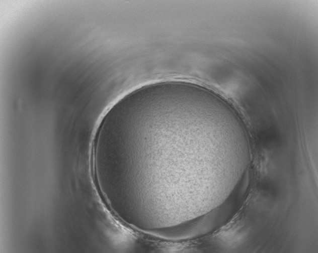 X0000059251520200510211615