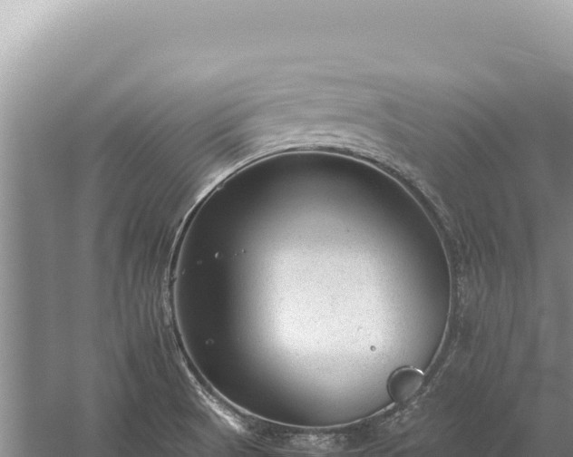 X0000059251521200510211615