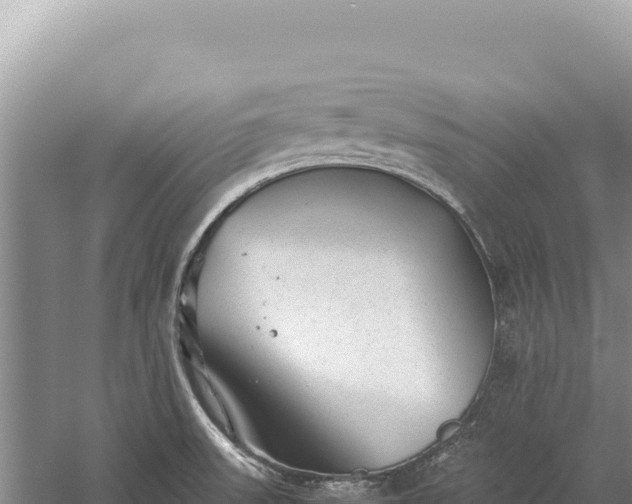 X0000059251523200510211615