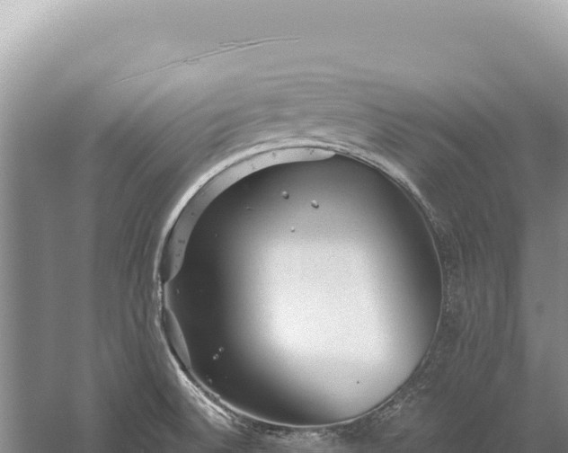 X0000059251524200510211615