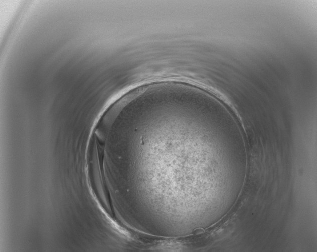 X0000059251525200510211615