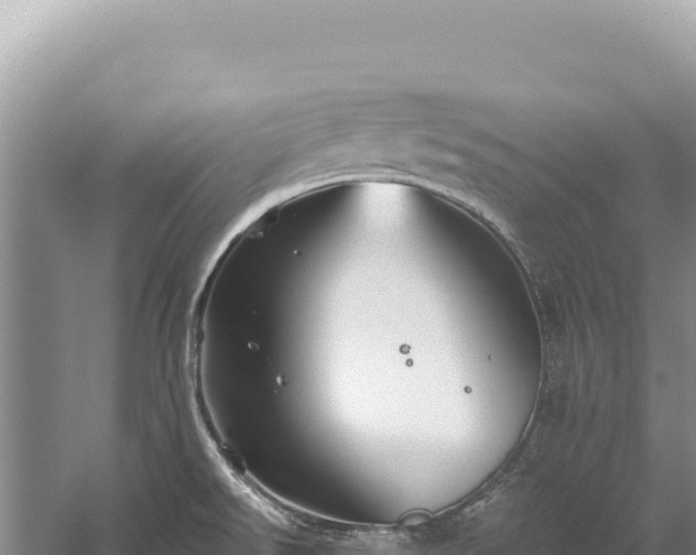 X0000059251526200510211615