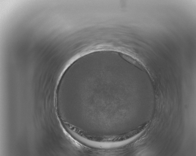 X0000059251527200510211615