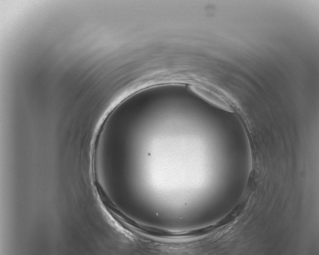 X0000059251528200510211615