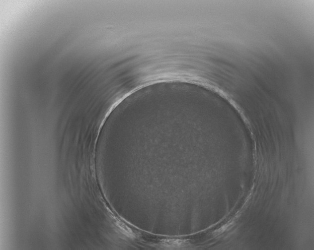 X0000059251529200510211615