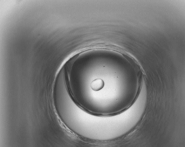 X0000059251530200510211615