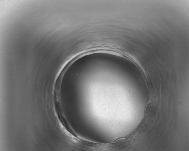 X0000059251532200510211615