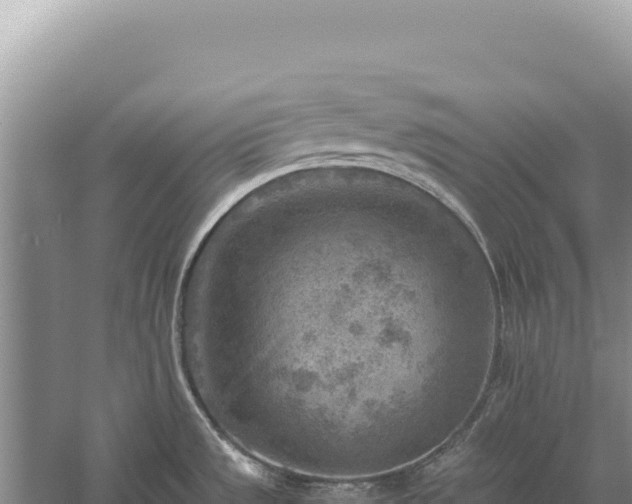 X0000059251533200510211615