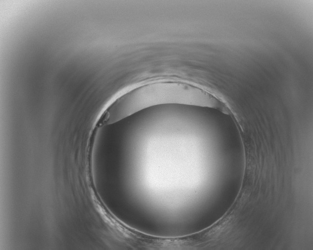 X0000059251534200510211615