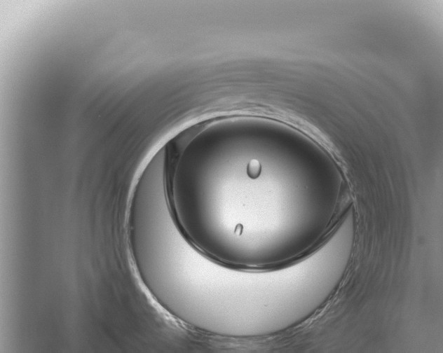 X0000059251536200510211616