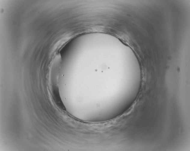 X0000059250001200510282008