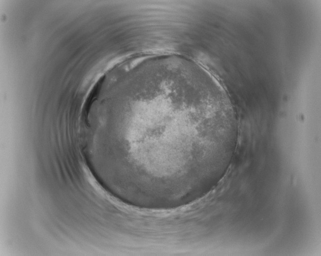 X0000059250002200510282008