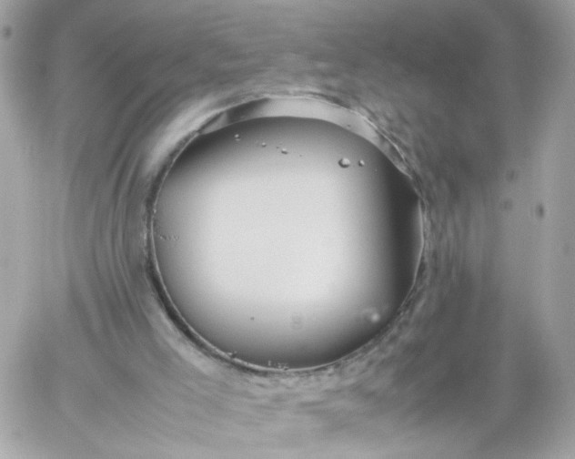 X0000059250005200510282008